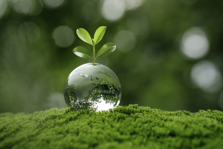 Financial impact of paperless billing